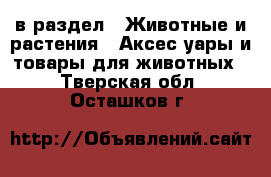  в раздел : Животные и растения » Аксесcуары и товары для животных . Тверская обл.,Осташков г.